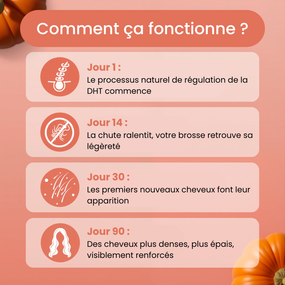 Huile de Pépins de Courge | Pousse, Densité & Vitalité
