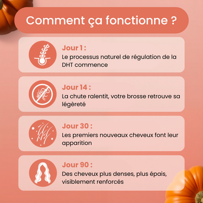 Huile de Pépins de Courge | Pousse, Densité & Vitalité